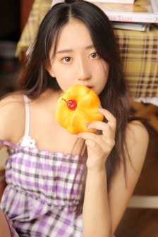 皇上和宫女的小说
